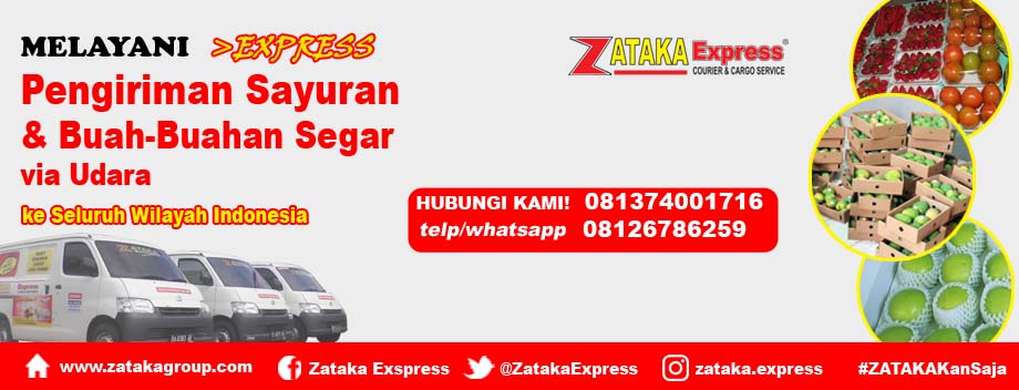 Cargo Padang, Cargo Sumatera, Jasa Pengiriman Sumatera, Jasa Pengiriman Padang, Jasa Pengiriman Barang Padang, Jasa Kurir Padang, Jasa Pengepakan Barang Padang, Jasa Logistik Padang, Jasa City Courier, Jasa Pindahan Padang, Jasa Pindah Rumah Jakarta, Jasa Pengiriman Pekanbaru, Pengiriman Barang Mentawai, Jasa Pengiriman Motor Antar Pulau, Jasa Pindah Rumah Pekanbaru, Jasa Handling Cargo Padang, Jasa Handling Cargo Pekanbaru